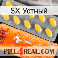 SX Устный new05